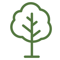 tree icon